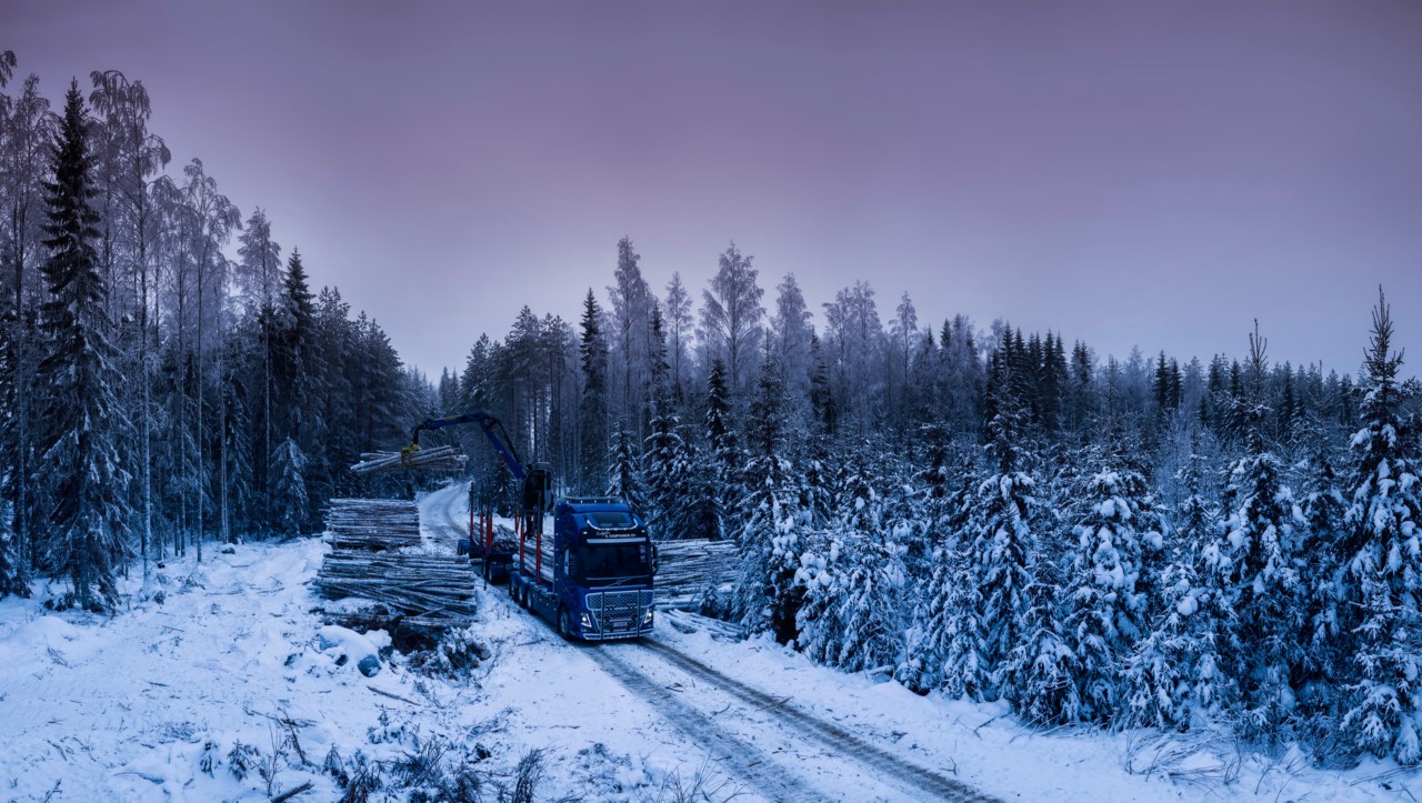 Loading timber in a Finnish forest.